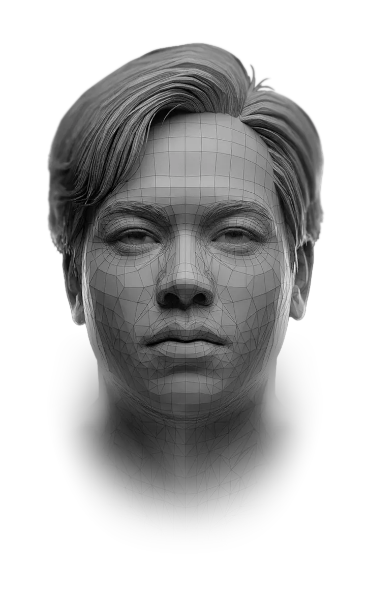 Jayson's head rendered as a grey 3D polygon mesh, a fine wireframe traced over his face beneath swept-back hair.